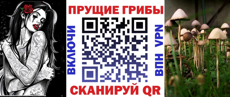 Галлюциногенные грибы мицелий сколько стоит Карталы