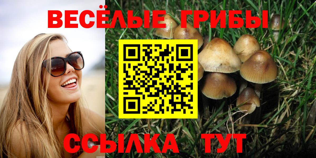 наркотики  Псилоцибиновые грибы прущие грибы  Вход с VPN  Карталы 